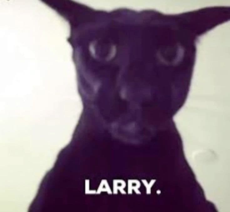 Larry